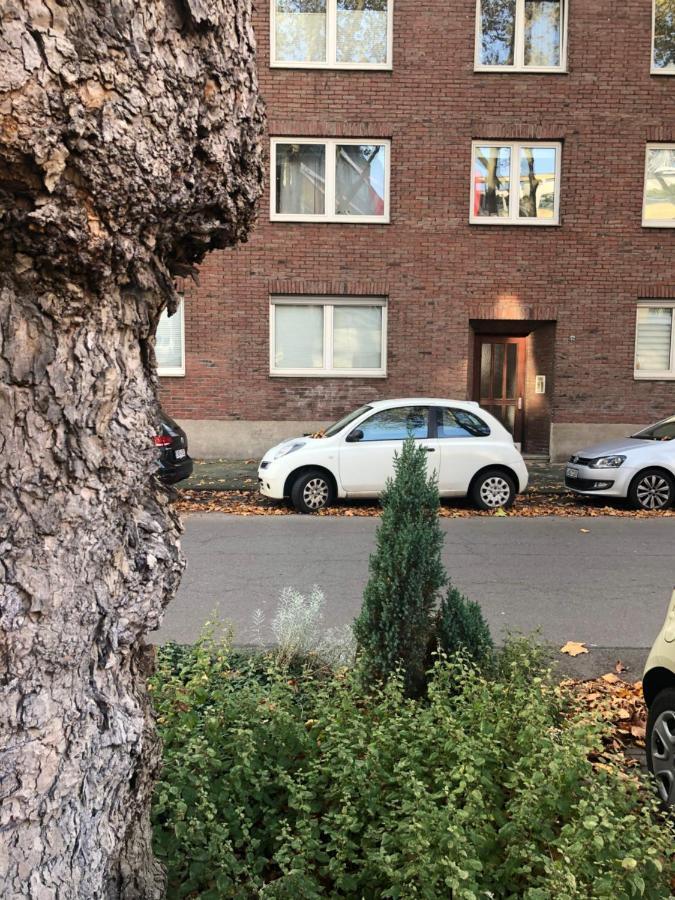 Apartment Love Your In *